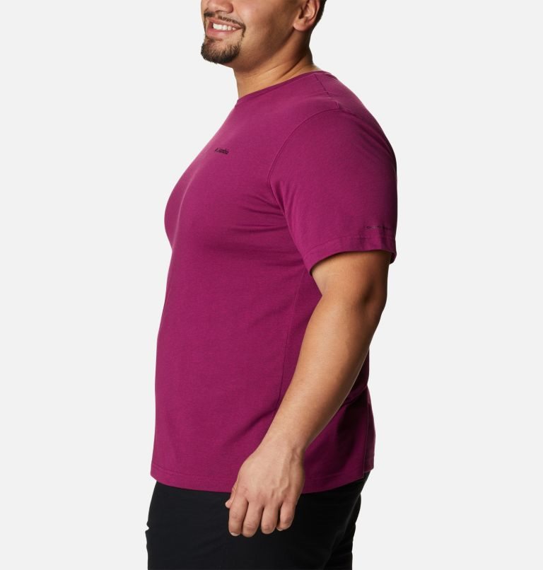 Men's Columbia Thistletown Hills Short Sleeve T Shirts Fuchsia | Plus Size CA-YL684